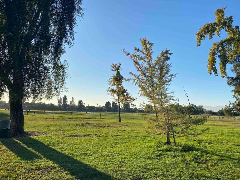 Hidden Gem La 2bd House With Dreamy Backyard Casa vacanze *